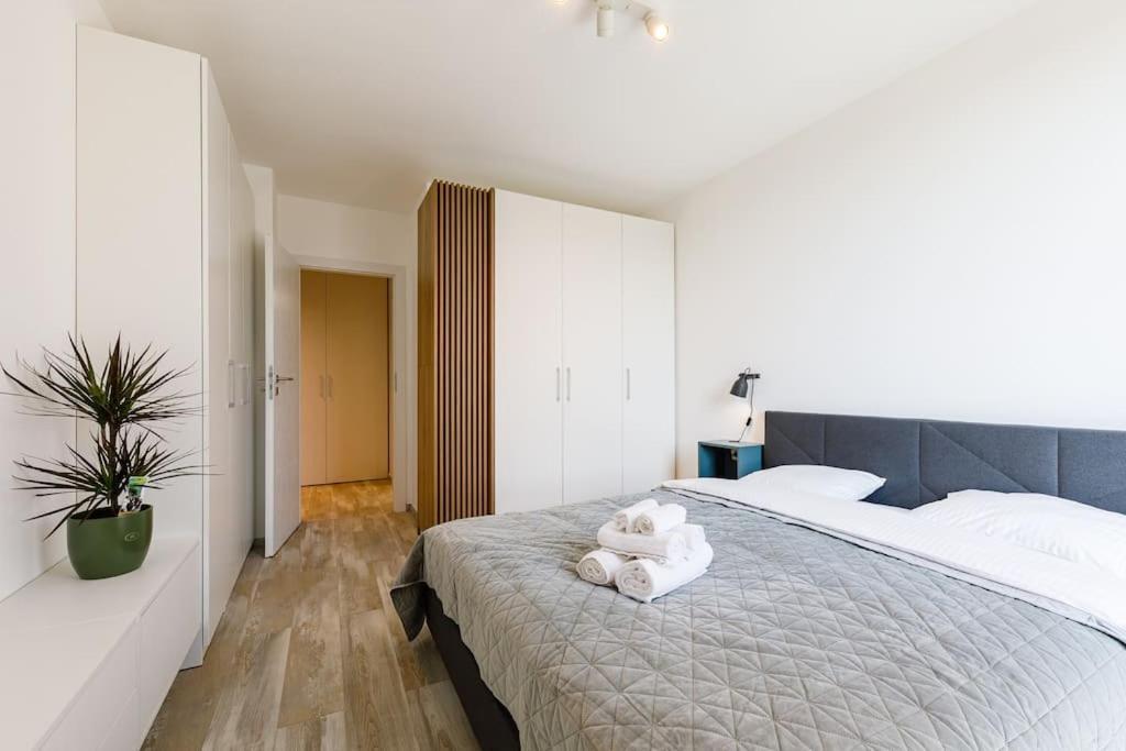 Apartment Luxury Apt. Near River & Parking Timişoara