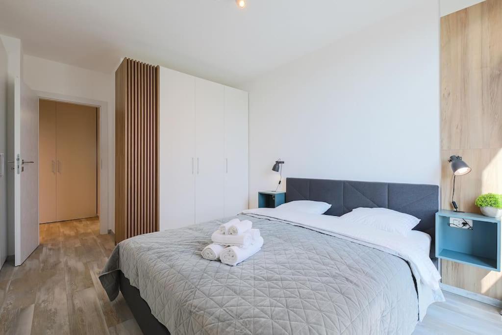 Luxury Apt. Near River & Parking Apartment Timisoara