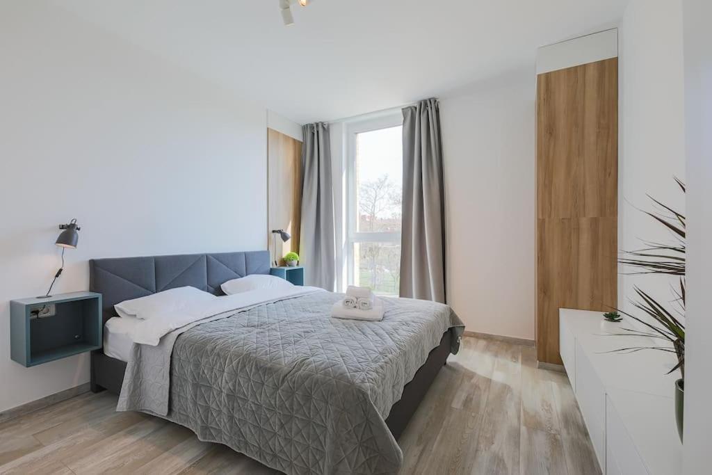 Luxury Apt. Near River & Parking Timisoara